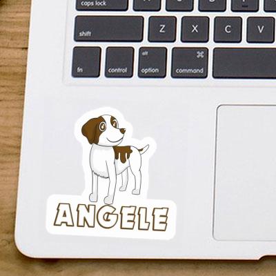 Spaniel Aufkleber Angele Gift package Image