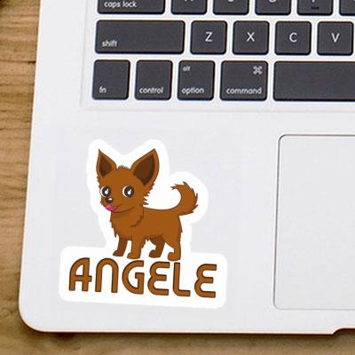 Sticker Angele Chihuahua Laptop Image