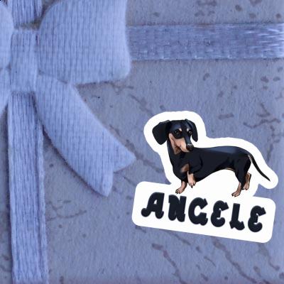 Autocollant Teckel Angele Gift package Image