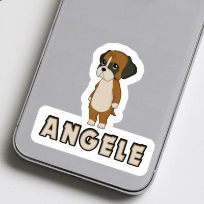 Sticker Boxer Angele Gift package Image