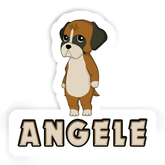 Sticker Boxer Angele Gift package Image