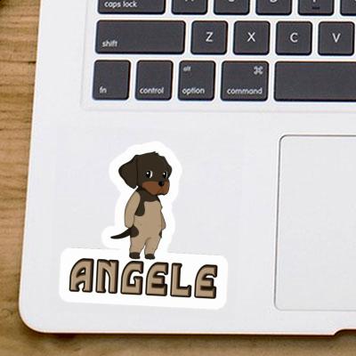 Sticker Angele German Wirehaired Pointer Gift package Image