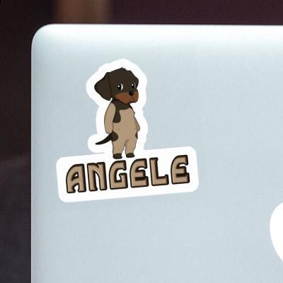 Deutsch Drahthaar Sticker Angele Laptop Image