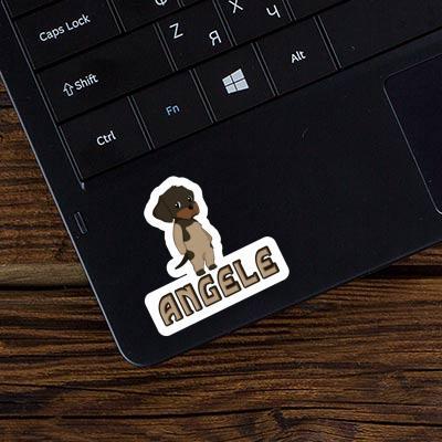 Sticker Angele German Wirehaired Pointer Image