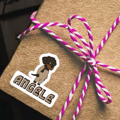 Sticker Angele German Wirehaired Pointer Gift package Image