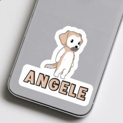 Aufkleber Golden Retriever Angele Image