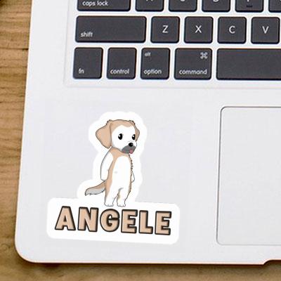 Autocollant Angele Golden Retriever Gift package Image