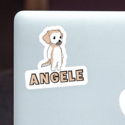 Sticker Angele Golden Retriever Notebook Image