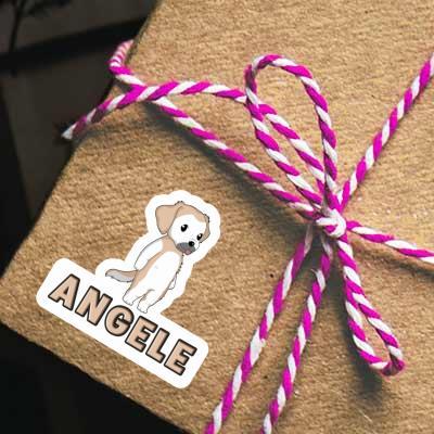 Aufkleber Golden Retriever Angele Notebook Image