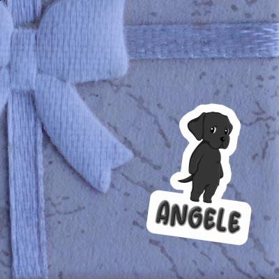 Angele Sticker Labrador Gift package Image