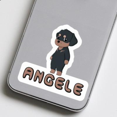 Aufkleber Rottweiler Angele Gift package Image