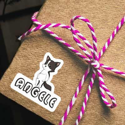 Sticker Border Collie Angele Gift package Image