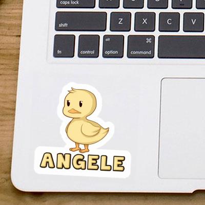 Sticker Duck Angele Gift package Image