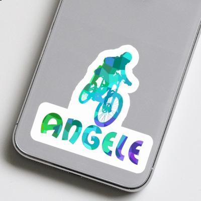 Freeride Biker Sticker Angele Gift package Image