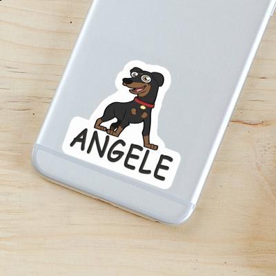 Pinscher Aufkleber Angele Gift package Image