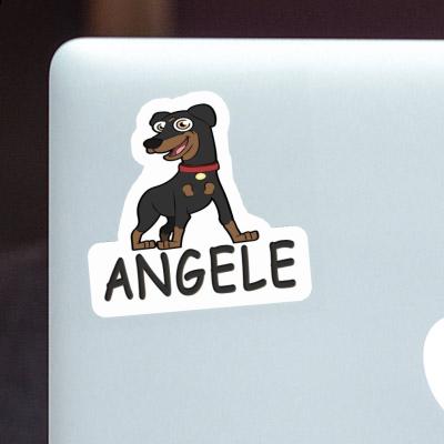 Pinscher Aufkleber Angele Gift package Image