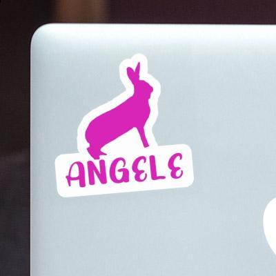 Sticker Rabbit Angele Gift package Image