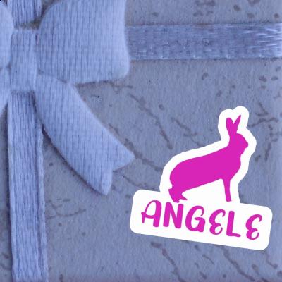 Autocollant Angele Lapin Gift package Image