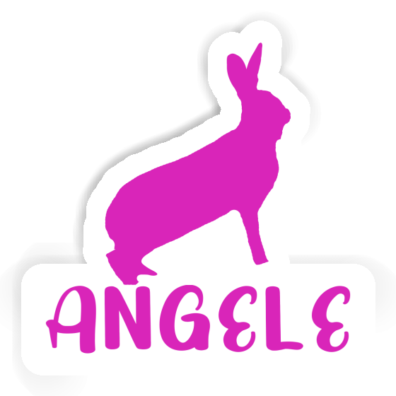 Sticker Rabbit Angele Gift package Image