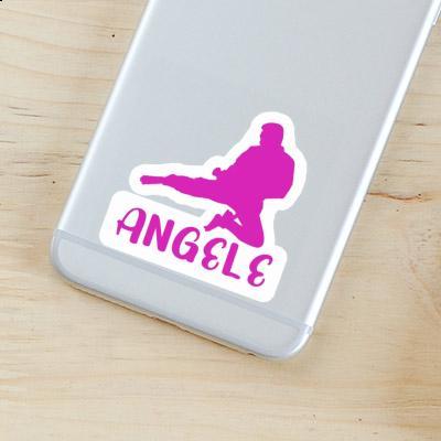 Karateka Sticker Angele Gift package Image