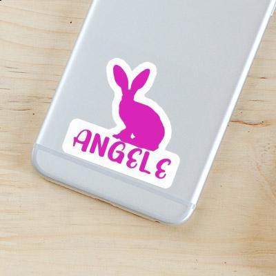 Autocollant Angele Lapin Gift package Image