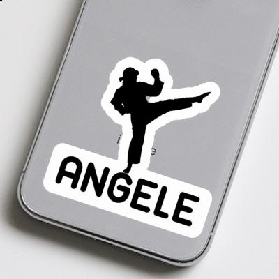 Karateka Sticker Angele Gift package Image