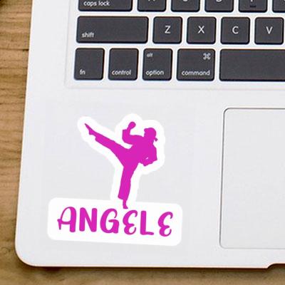 Angele Sticker Karateka Gift package Image