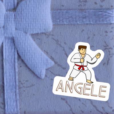 Karateka Aufkleber Angele Gift package Image