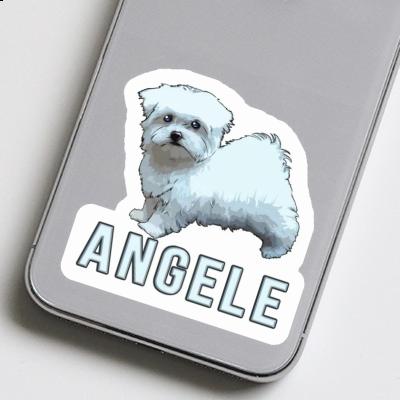 Sticker Malteserhund Angele Notebook Image