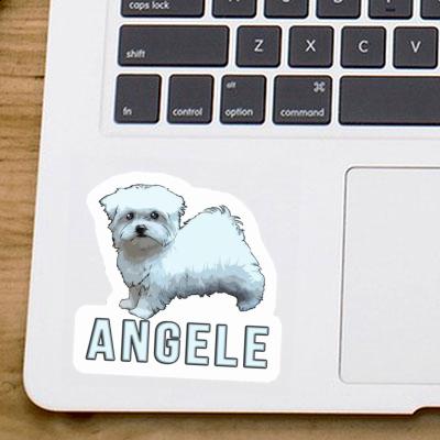 Sticker Malteserhund Angele Laptop Image