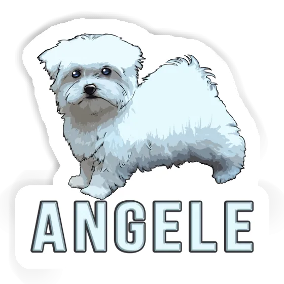 Sticker Malteserhund Angele Gift package Image