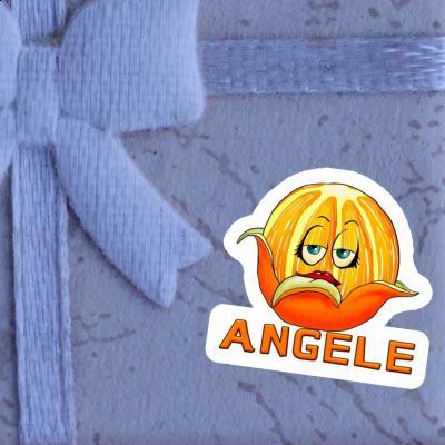 Autocollant Angele Orange Gift package Image