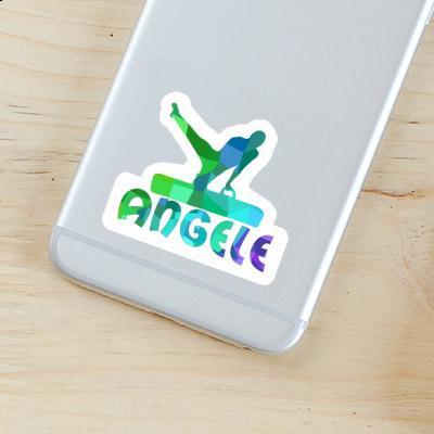 Autocollant Angele Gymnaste Gift package Image