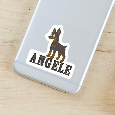 Pinscher Autocollant Angele Laptop Image