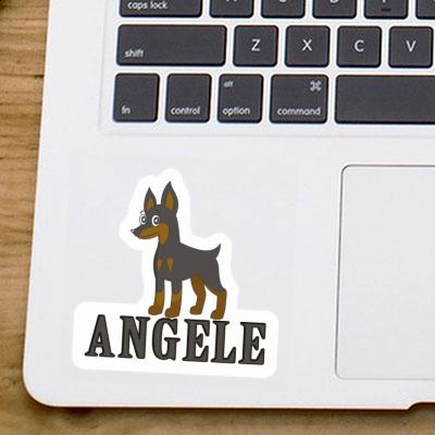 Pinscher Autocollant Angele Image