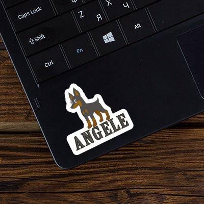 Sticker Pinscher Angele Laptop Image