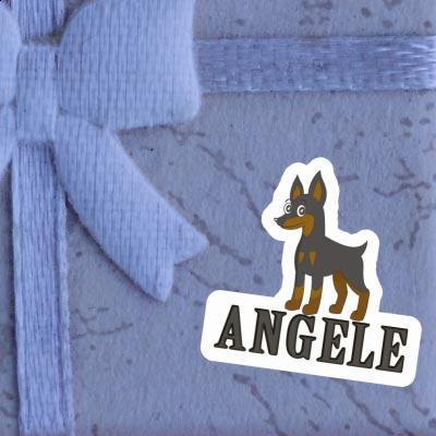 Autocollant Pinscher Angele Laptop Image