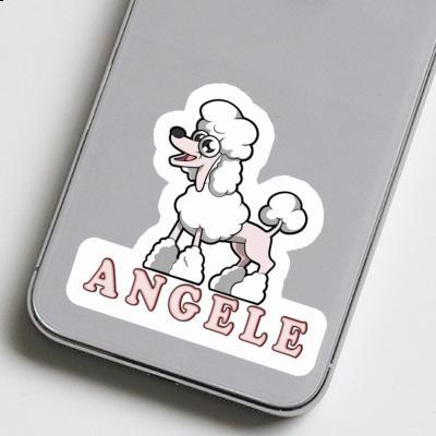 Caniche Autocollant Angele Gift package Image