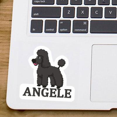 Caniche Autocollant Angele Gift package Image