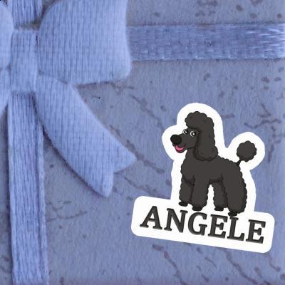 Caniche Autocollant Angele Gift package Image