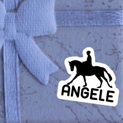 Autocollant Cavalière Angele Gift package Image