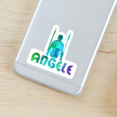 Angele Sticker Ring gymnast Gift package Image