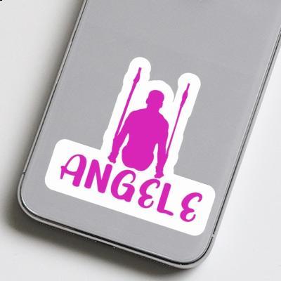 Ringturnerin Sticker Angele Gift package Image