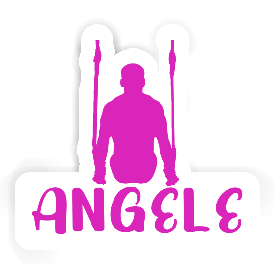 Ringturnerin Sticker Angele Gift package Image