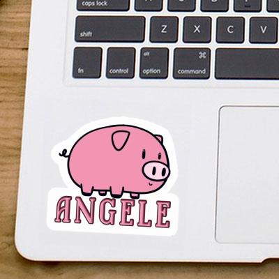 Angele Autocollant Cochon Gift package Image