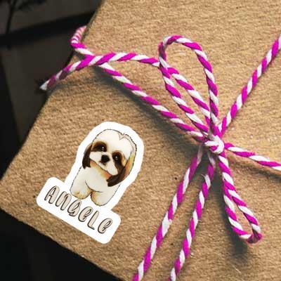 Aufkleber Angele Shih Tzu Gift package Image