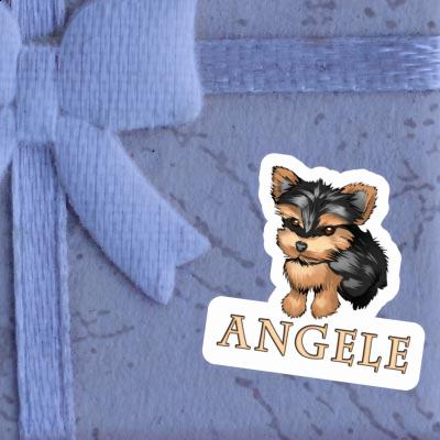 Angele Autocollant Yorkshire Terrier Gift package Image