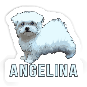 Sticker Angelina Maltese Dog Image