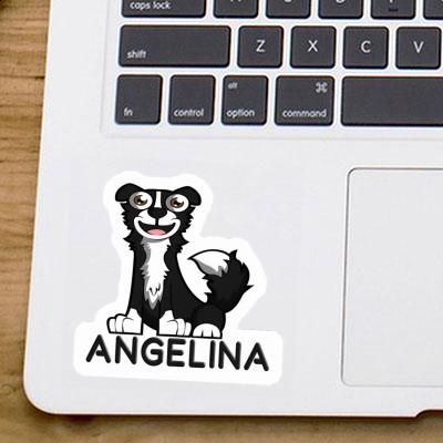 Angelina Aufkleber Border Collie Gift package Image