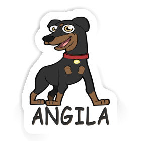 Autocollant Pinscher Angila Image